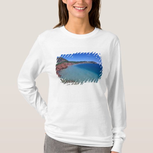 カナダ, ケベック州, マグダレン諸島, キャップ・アルライト Tシャツ (正面)