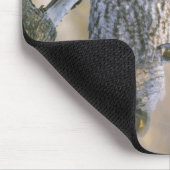 カナダ、ケベック州。木の上に素晴らし浮かぶ灰色のフクロウ マウスパッド (コーナー)