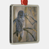 カナダ、ケベック州。木の上に素晴らし浮かぶ灰色のフクロウ メタルオーナメント (右)