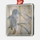 カナダ、ケベック州。木の上に素晴らし浮かぶ灰色のフクロウ メタルオーナメント (左)