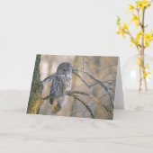 カナダ、ケベック。 木でとまるカラフトフクロウ カード (黄色い花)