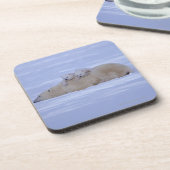 カナダ コースター (左側)