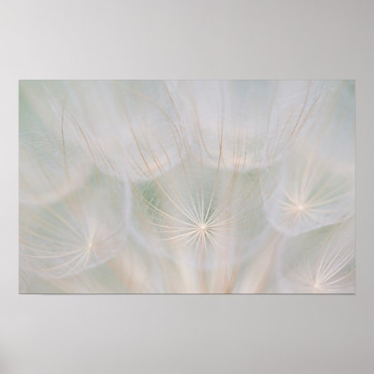 カナダ、シードヘッドの閉鎖 ポスター (正面)