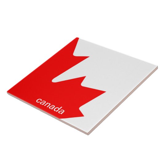 カナダ タイル (側面)