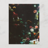 カナダ，トロント州の水族館 ポストカード (正面)