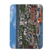 カナダ，ニューファンドランド，セントジョンズ，海岸線 マグネット (縦)