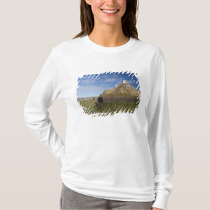 カナダ ニューファンドランド・ラブラドール州 アンス・オ・ク4 Tシャツ
