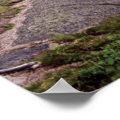 カナダ、ニューファンドランド、Cape Spear National ポスター (角)
