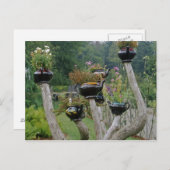 カナダ, ニューブランズウィック州, セントアンドリュース. 紅茶ポット ポストカード (正面/裏面)