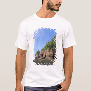 カナダ、ニューブランズウィック州、ホープウェルケープ、湾 Tシャツ