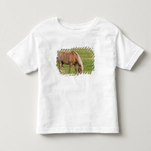 カナダ、ニューブランズウィック州。馬がいる牧場 トドラーTシャツ