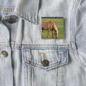カナダ、ニューブランズウィック州。馬がいる野原 缶バッジ (インサイチュ)