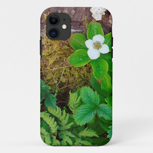 カナダ、ニューブランズウィック州、、2 Case-Mate iPhoneケース (裏面)
