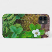 カナダ、ニューブランズウィック州、、2 Case-Mate iPhoneケース (裏面(横))