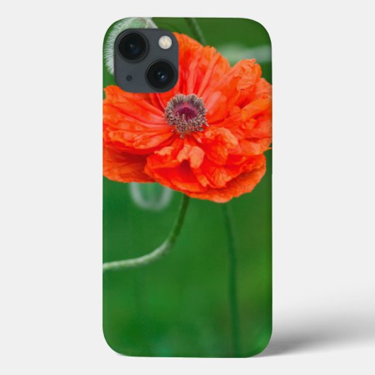 カナダ、ニューブランズウィック州、 Case-Mate iPhoneケース (裏面)