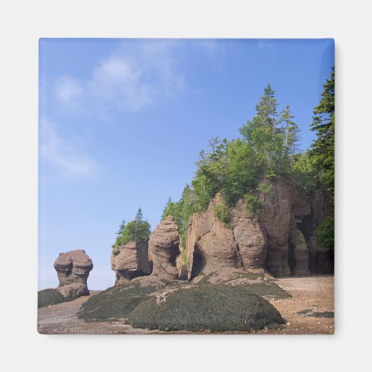 カナダ、ニューブランズウィック、ホペウエル岬、湾 マグネット (正面)