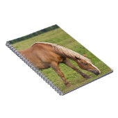カナダ、ニューブランズウィック。馬がフィールドに。 ノートブック (右側)
