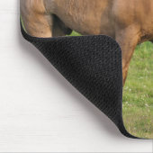 カナダ、ニューブランズウィック。馬がフィールドに。 マウスパッド (コーナー)