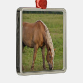 カナダ、ニューブランズウィック。馬がフィールドに。 メタルオーナメント (右)