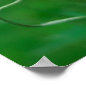 カナダ，ニューブランズウィック， 2 ポスター (角)