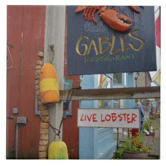 カナダ、ニューブルンズウィック、セントアンドリュース。カラフル タイル