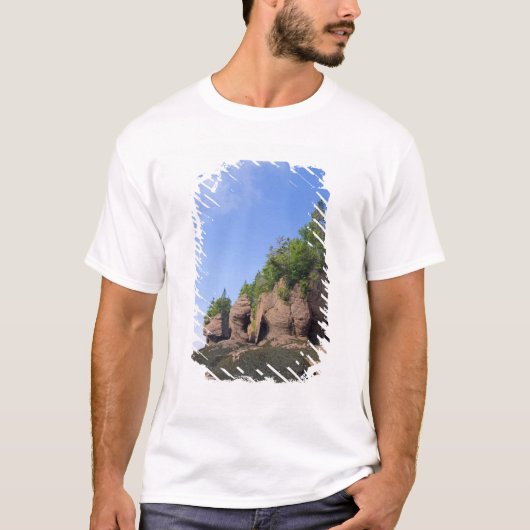 カナダ、ニューブルンズウィック、ホープウェル岬、湾 Tシャツ (正面)