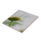 カナダ、ニュー·ブルンズウィック、 タイル (側面)