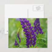 カナダ、ニュー·ブルンズウィック。 ポストカード (正面/裏面)