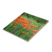 カナダ、ニュー·ブルンズウィック。横 タイル (側面)