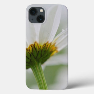 カナダ、ニュー·ブルンズウィック、 iPhone 13ケース