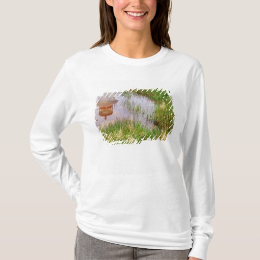 カナダ ノバスコシア州 ペギーズコーブ Tシャツ (正面)