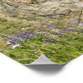 カナダ、ノバスコシア、ケープブレトン島、カボット ポスター (角)