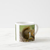 カナダ、ノバスコシア、ハリファックス。公共庭園 エスプレッソカップ (正面右)