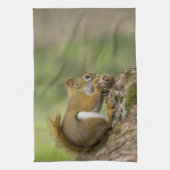 カナダ、ノバスコシア、ハリファックス。公共庭園 キッチンタオル (縦)