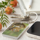 カナダ、ノバスコシア、ハリファックス。公共庭園 キーホルダー (正面右)