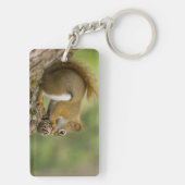 カナダ、ノバスコシア、ハリファックス。公共庭園 キーホルダー (裏面)