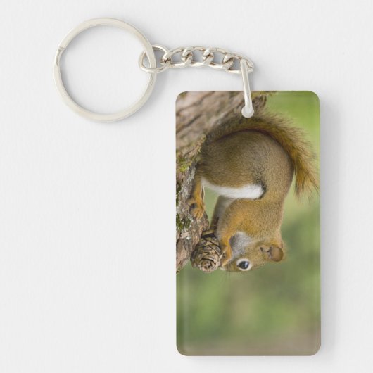 カナダ、ノバスコシア、ハリファックス。公共庭園 キーホルダー (正面)