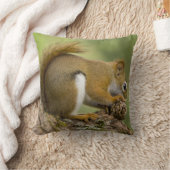 カナダ、ノバスコシア、ハリファックス。公共庭園 クッション (ブランケット)