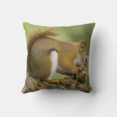 カナダ、ノバスコシア、ハリファックス。公共庭園 クッション (裏面)