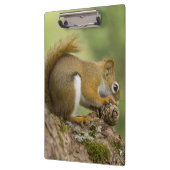 カナダ、ノバスコシア、ハリファックス。公共庭園 クリップボード (左)