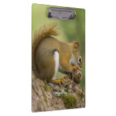 カナダ、ノバスコシア、ハリファックス。公共庭園 クリップボード (右)