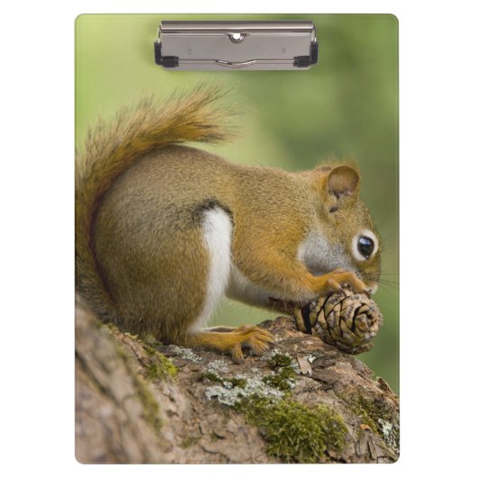 カナダ、ノバスコシア、ハリファックス。公共庭園 クリップボード (正面)