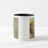 カナダ、ノバスコシア、ハリファックス。公共庭園 マグカップ (中央)