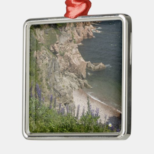 カナダ、ノヴァスコシア、ケープブレトン島、カボット3 メタルオーナメント (左)