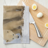 カナダ、ハドソン湾。ホッキョクグマのお母さん キッチンタオル (四つ折り)