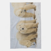 カナダ、ハドソン湾。ホッキョクグマのお母さん キッチンタオル (縦)