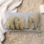 カナダ ハドソン湾 ホッキョクグマの親と子2頭 ランバークッション (ブランケット)