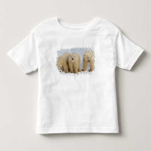 カナダ、ハドソン湾。子連れのホッキョクグマの母 トドラーTシャツ (正面)
