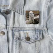 カナダ、バウンダリーベイ、シロフクロウ 缶バッジ (インサイチュ)