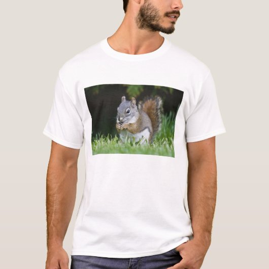 カナダ、ブリティッシュコロンビア州、アカリス Tシャツ (正面)